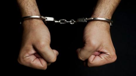 Задържаха петима за разпространяване на порно сцени с деца и бебета