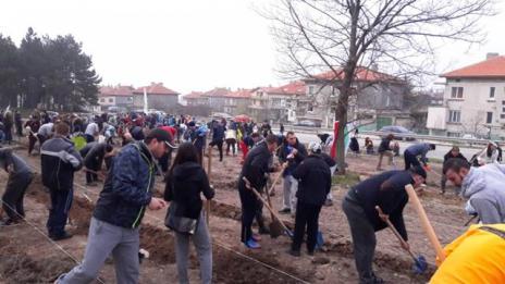 2000 фиданки засадиха край Аксаково в изборния ден