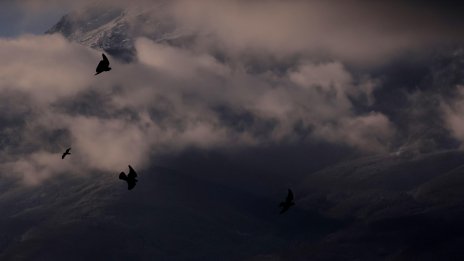 Синоптик: Времето е доста динамично не само в Европа, а по целия свят, циклони идват и в България