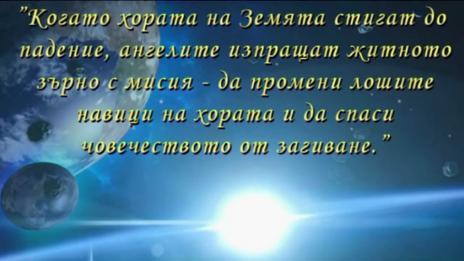 &quot;Щрихи от утрото&quot; (25.02.2019) - Кои са най-подходящите диети за пролетно пречистване?