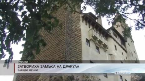 Затвориха замъка на Дракула заради мечки