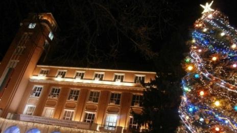 33-годишен краде... играчки от елхата в Плевен