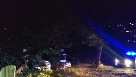 Дърво падна в столицата, затисна 3 коли