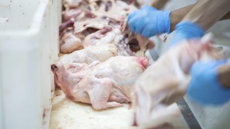 ВАС потвърди решение за затваряне на незаконна транжорна във Варна