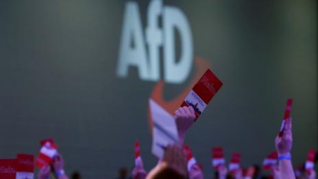 "Алтернатива за Германия" вече е втора по сила партия