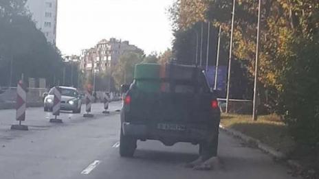 МВР: Има досъдебно производство за случая с кучето във Варна
