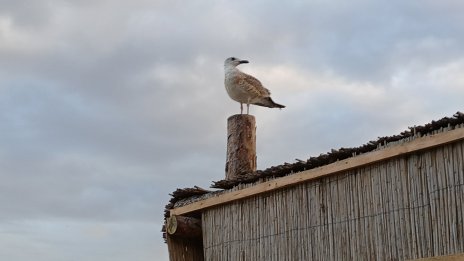 Слънчево време в цялата страна в днешния ден