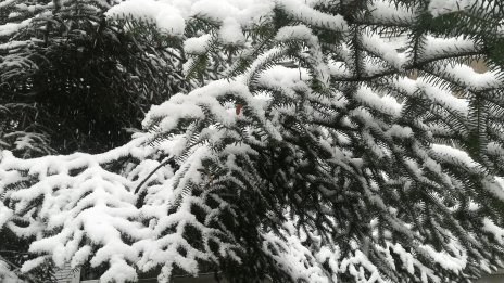 Жълт код за значителни валежи в 7 области на Бъдни вечер