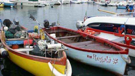 Дирекция „Морско дело и рибарство“ ще бъде управляващ орган на ПМДР