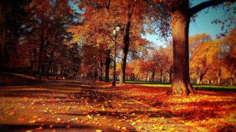 Силен вятър, облачно, но без валежи