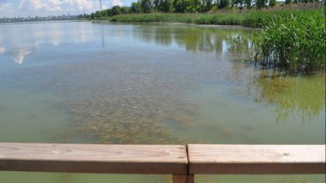  Почистват канала между езерото Вая и морето с европари