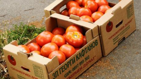 143 000 000 евро щети от руското ембарго за по-малко от година