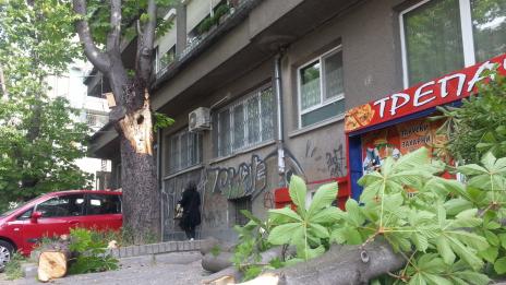 Клон падна във Варна, потроши кола
