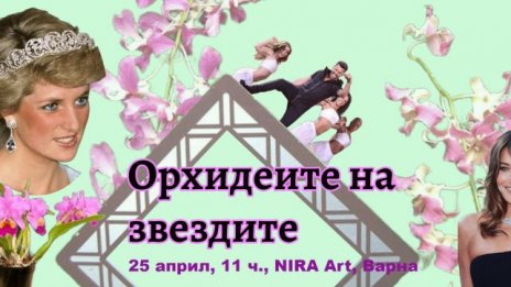 Среща &bdquo;Орхидеите на звездите&ldquo; събира любители във Варна