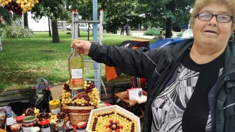 Тонове череши се използват за ракия