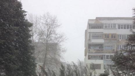 Паднали дървета и снегонавявания блокираха улици в кв. “Чайка”