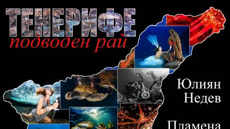 Подводна фотография показва Градска художествена галерия -Варна