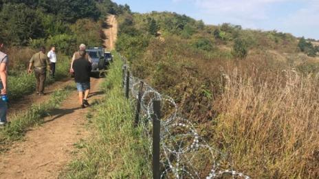 Предприети са мерки срещу африканската чума по свинете в Силистренскo