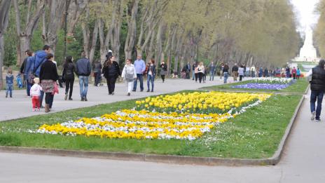 Краят на седмицата – ветровит, но пък топъл