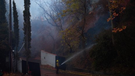 Бедствено положение в Ню Йорк заради пожари