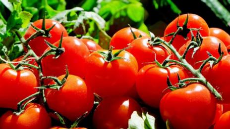 Вносът на плодове и зеленчуци у нас - 90%  