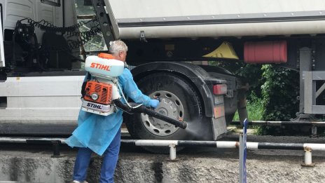 У нас няма установено болно животно от африканска чума по свинете