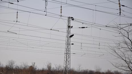 Мъж се обеси на стълб във Варна (Снимки)