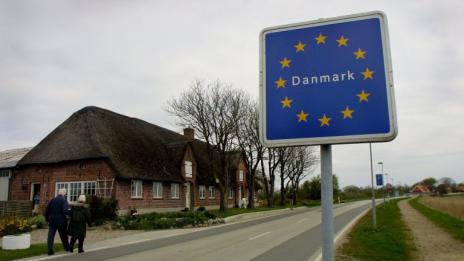 Прасетата принудиха Дания да вдигне ограда по границата с Германия