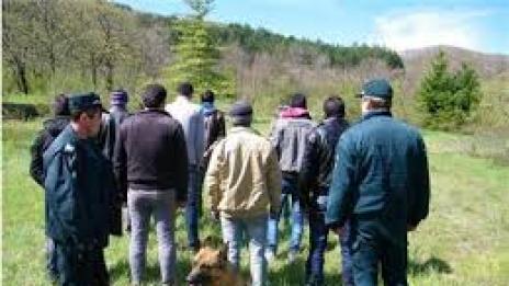 С билбордове помагат на имигрантите да се интегрират