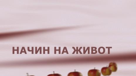 Начин на живот 16.11 2014- част 2