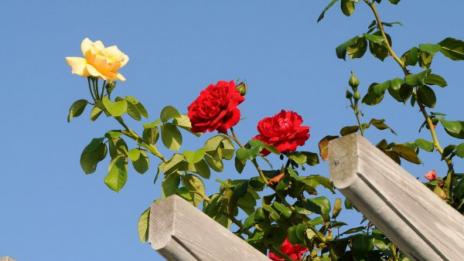 Посрещаме астрономическото лято