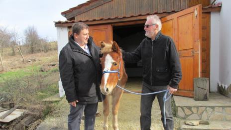 Евродепутат спаси кон от насилие