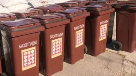 Жена открадна контейнер за биоотпадъци в Бургас с варненско "Ауди"