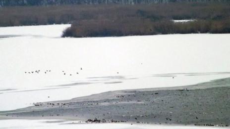 Водолази намериха тялото на момчето, потънало във водоем край Марково