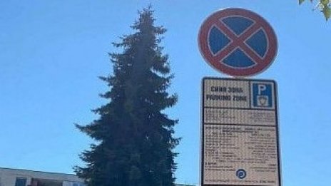 Варна губи милиони, ако „синята зона“ стане безплатна през уикенда