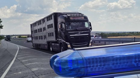 Всеки втори проверен камион на АМ &bdquo;Тракия&ldquo; е с опасни гуми 