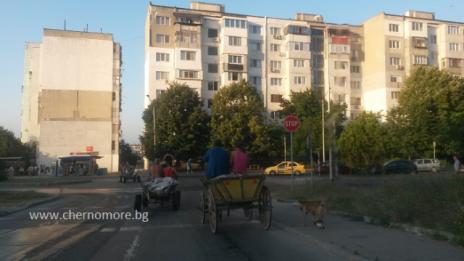 Погнаха нелегалните дървосекачи в гората над "Владиславово"