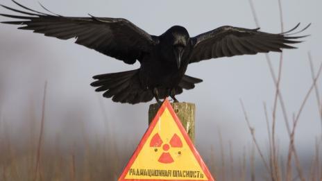 Източна Европа премълча за Чернобил