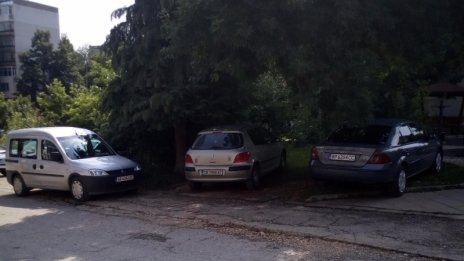 12-те прости начина да удължите живота на колата си в жежкото лято