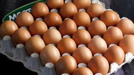 България иска забрана за внос на яйца от Украйна