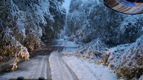 Без зимна обстановка и без сняг – така изглежда времето в България поне до средата на декември