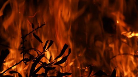 Български армейски хеликоптер на мисия срещу пожарите в Черна гора