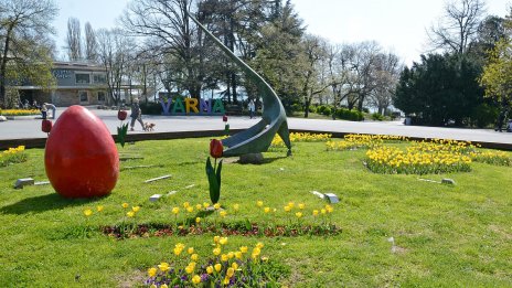 Търсят виртуални съкровища в Морската градина на Варна