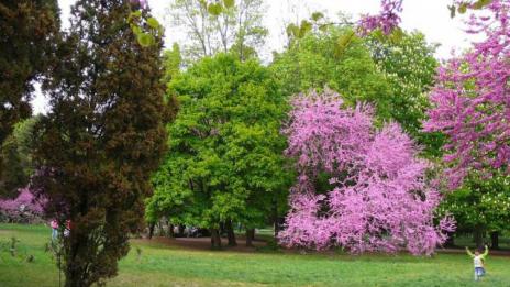 Сънчево, но облачно в следобедните часове