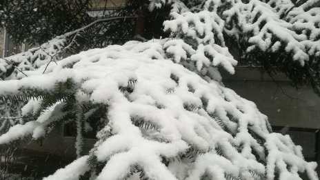 Утре настъпва астрономическата зима