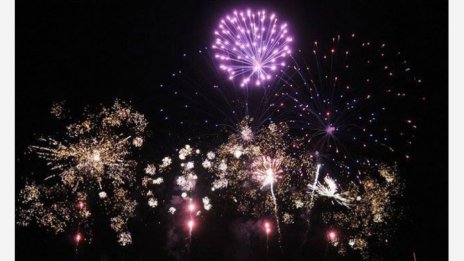 Новогодишните фойерверки тормозят психически животни и птици