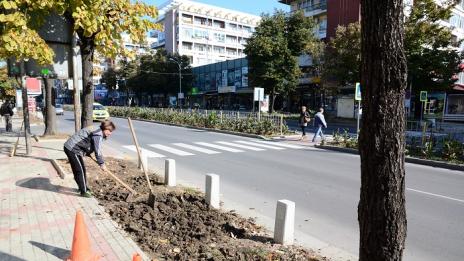 Озеленяват ремонтираните булеварди във Варна