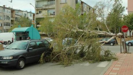 Вятърът потроши 2 коли във Варна