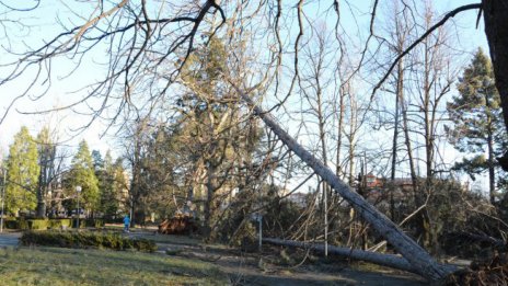 Бурни ветрове в Москва: Бебе почина, а мнозина бяха ранени
