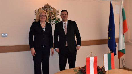 Около 10% от най-големите чуждестранни инвеститори в България са австрийски компании
